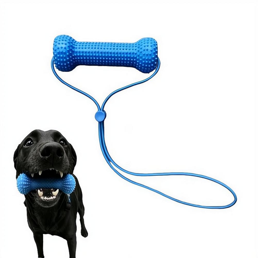 Brinquedo de Morder para Pets: - Teeth Whitening Brush avaliação e preço